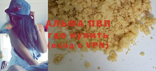 индика Магас