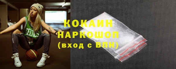 тгк Каменка