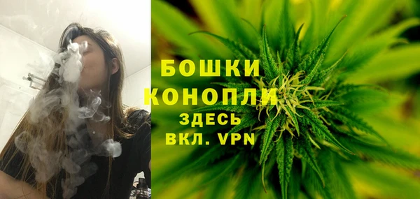 тгк Каменка