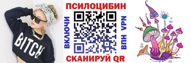 маркетплейс клад  Кировград  Галлюциногенные грибы Cubensis  гидра маркетплейс 